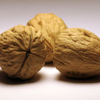 1024px walnuts by rustedstrings