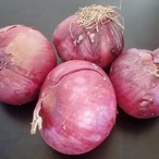 Onions 431815 1920
