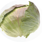 Cabbage